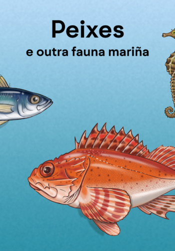 Os peixes e outra fauna mariña